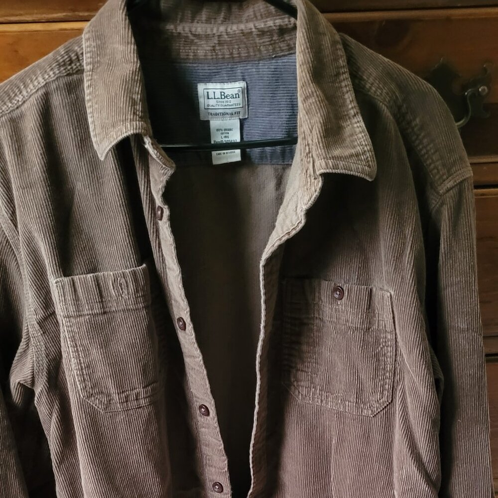 Mens L.L. Bean button down
